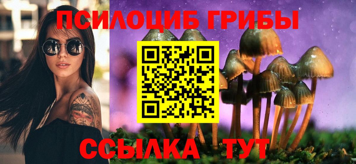 Псилоцибиновые грибы GOLDEN TEACHER  Вход с VPN  купить закладку  Донской  Галлюциногенные грибы Cubensis 