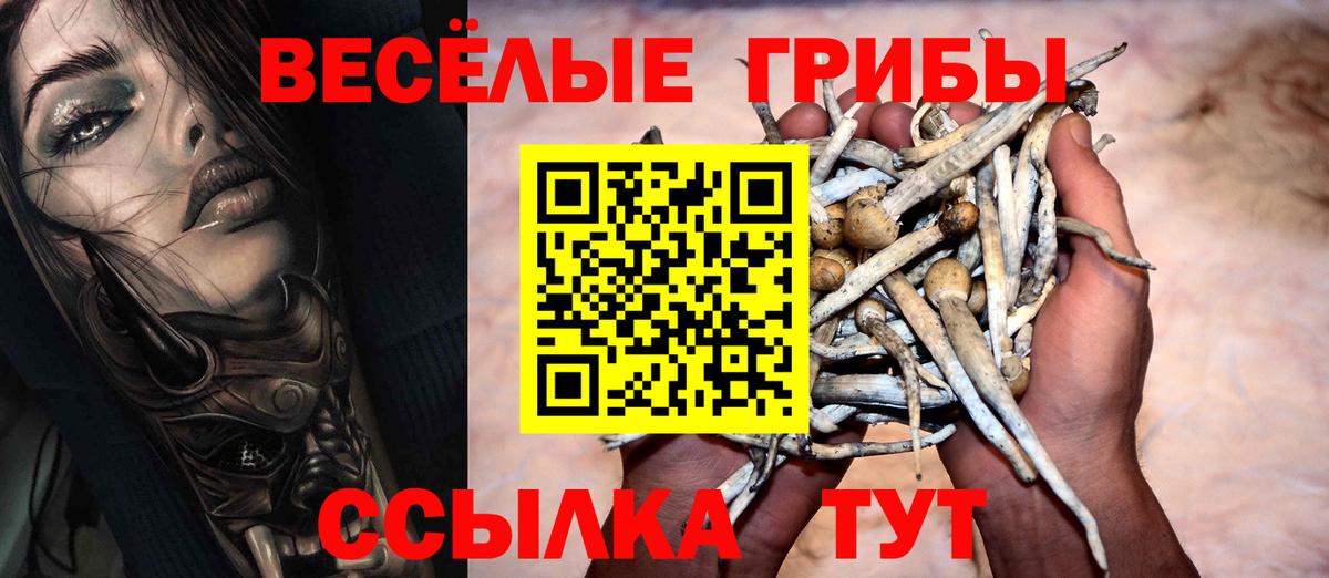 Галлюциногенные грибы Psilocybe Донской